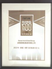 ●集團(tuán)公司首次進(jìn)入《財富》世界500強(qiáng)榜單。